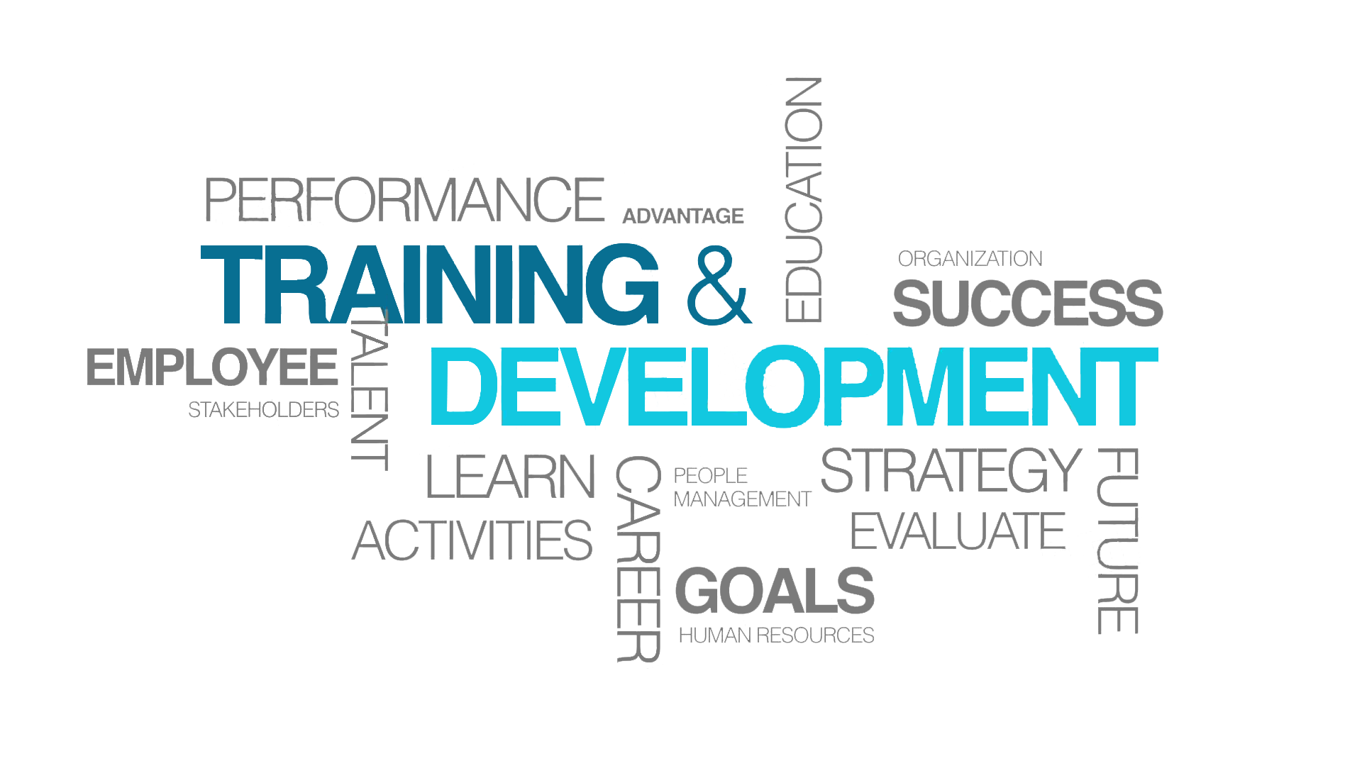 Training and Development. Personel Training and Development. 3. Training and Development. Development quotes.